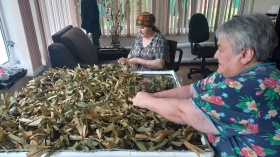 Вклад в Победу