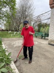 Зеленая терапия: гармония с миром 
