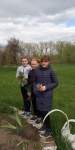 Акция «Озелени клумбу!»