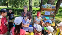 Лето-это маленькая жизнь