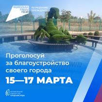 Проголосуй за благоустройство своего города!