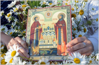 Дорогие земляки!