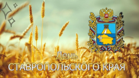 Дорогие земляки!