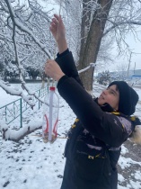 Трудно птицам зимовать, надо птицам помогать