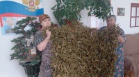 Вклад в Победу