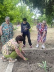 Во саду ли в огороде…