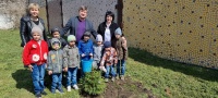 Посади дерево - вырасти добро