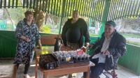 Мы рассаду посадили 