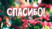 Мир не без добрых людей
