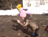 День кошек