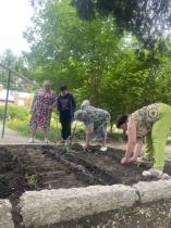 Во саду ли в огороде…