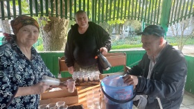 Мы рассаду посадили 